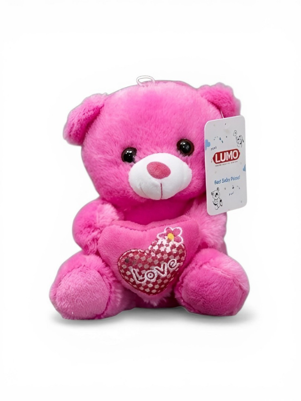 21cm Plush Teddy Bear with Heart – 'Love' Embroidered Soft Toy Pink ST16166.