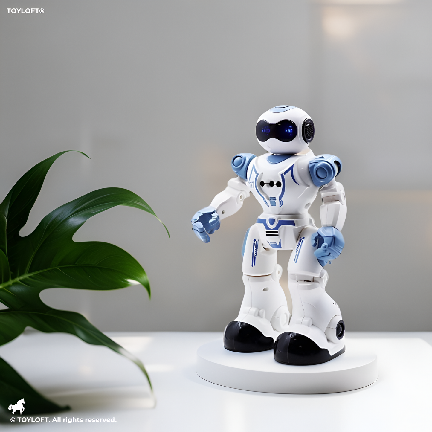 Remote Control Robot Toys, Singing Dancing Programmable Robot (MS-M-25)