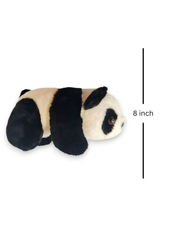 Cute Panda Teddy Bear Plush – Soft Toy for Kids, Boys & Girls | Adorable Baby Panda Gift 8 inch - MS14584.