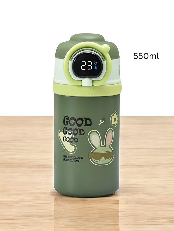 Green - HydroMate Stainless Steel Water Bottle 550ml – Smart Temperature Display, Push Sipper Lid, Leakproof & Travel-Friendly NOV7252.
