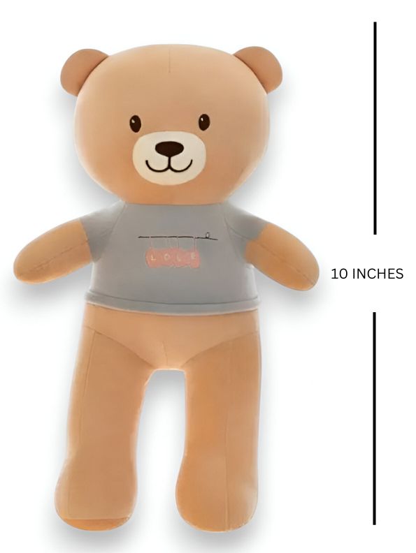 SnuggleCub - 10 Inch Teddy Bear Plush Toy | Soft Cloth Doll for Kids & Girls Gift - MS14450