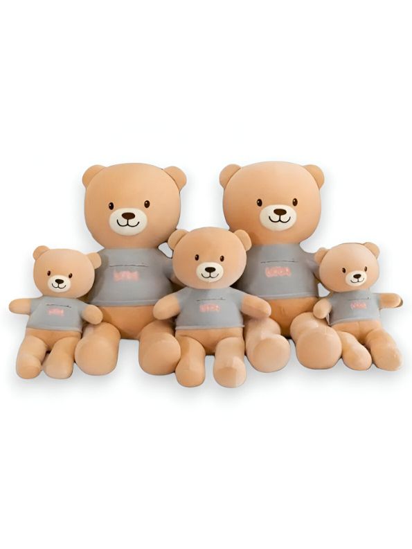 SnuggleCub - 10 Inch Teddy Bear Plush Toy | Soft Cloth Doll for Kids & Girls Gift - MS14450