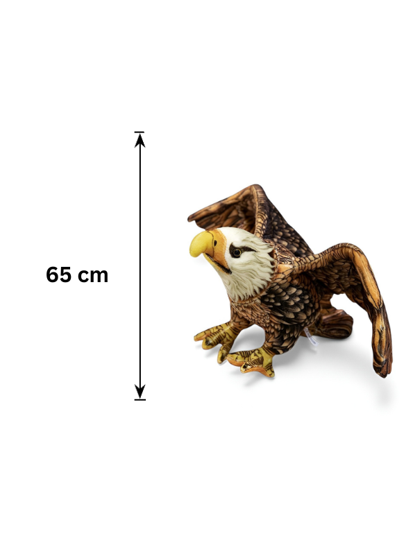 65cm Bald Eagle Stuffed Animal – Large Realistic Eagle Plush ST14990.