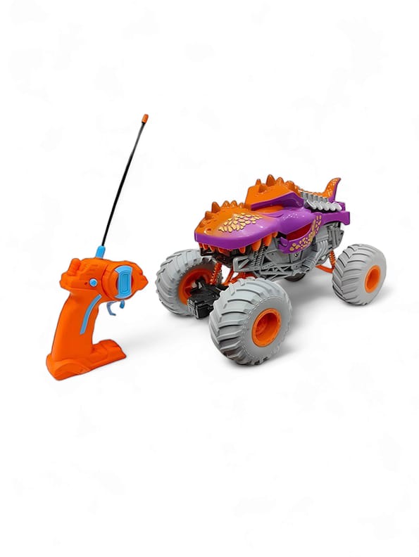 Bouncing Monster Off Road Vehicle RC Car (FY-51)