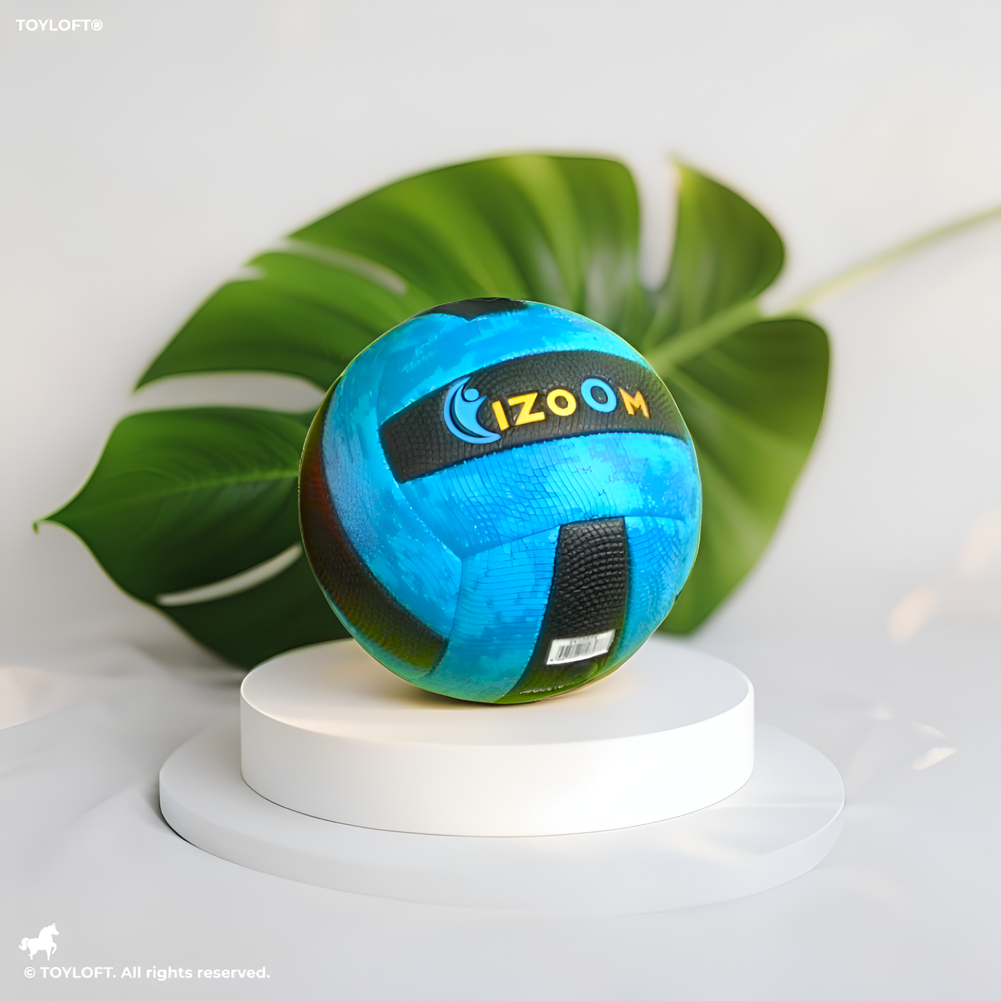 iZoom Blue & Black Outdoor Volleyball – Durable, High-Visibility Beach & Court Ball LMI15660.