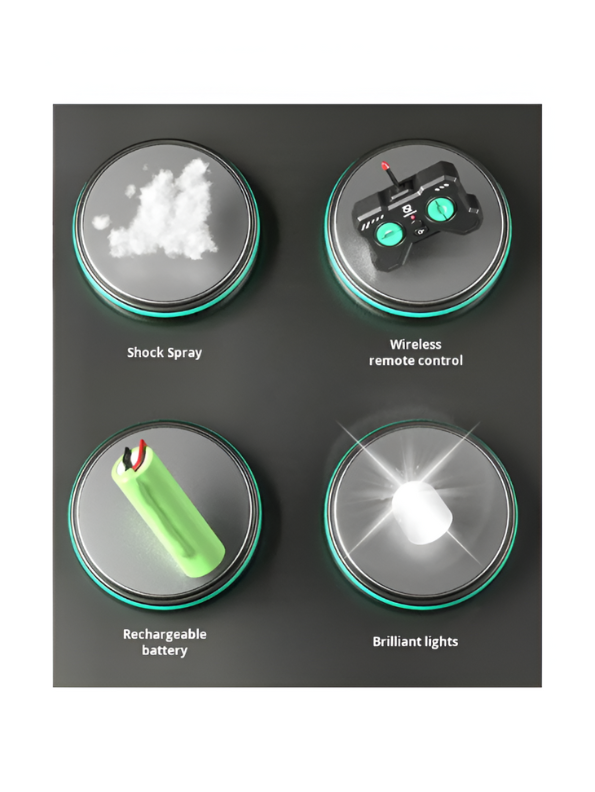 Drift Go – High-Speed RC F1 Racing Car with Spray Function, LED Lights & Rechargeable Battery - Green | LMI11212.