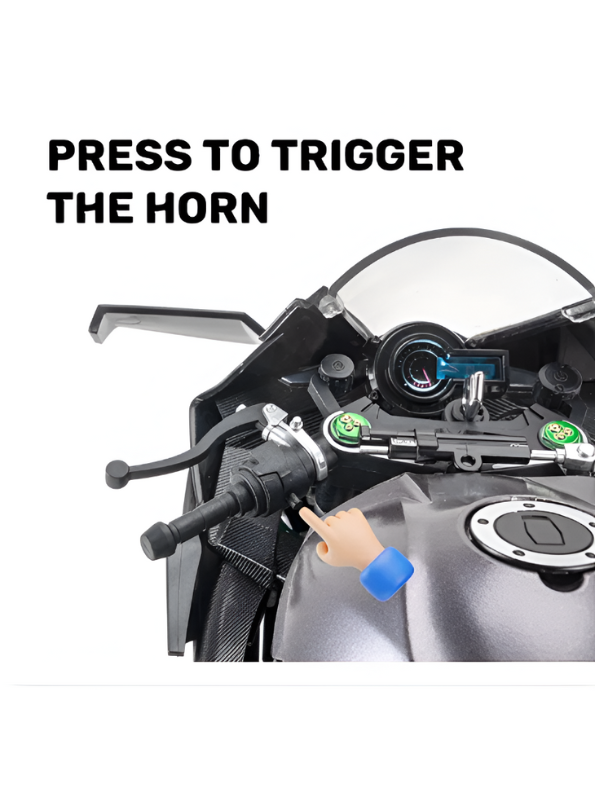 Kawasaki Ninja H2R 1/6 Scale Diecast Bike Model – Metal Collectible Motorcycle Replica with Moveable Parts & Stand - Black TV5903.