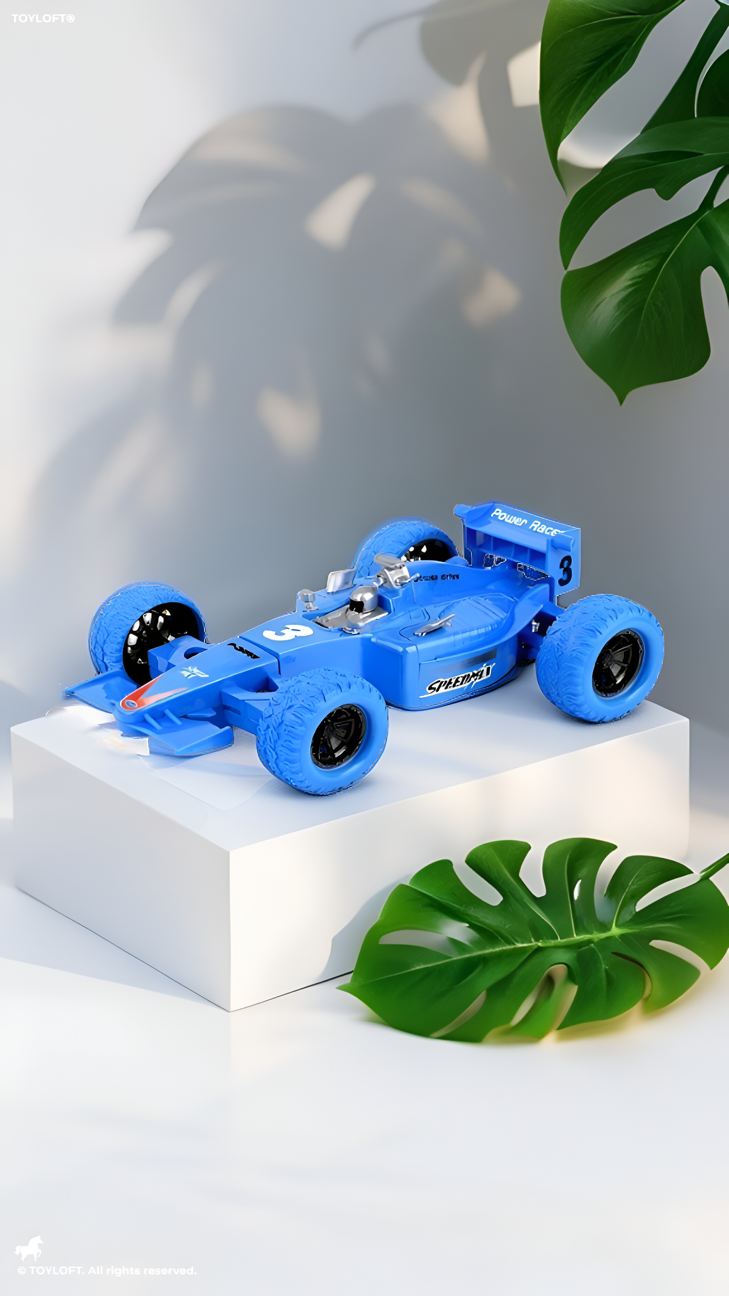F1 Remote Control Racing Car Toy LMI16325.