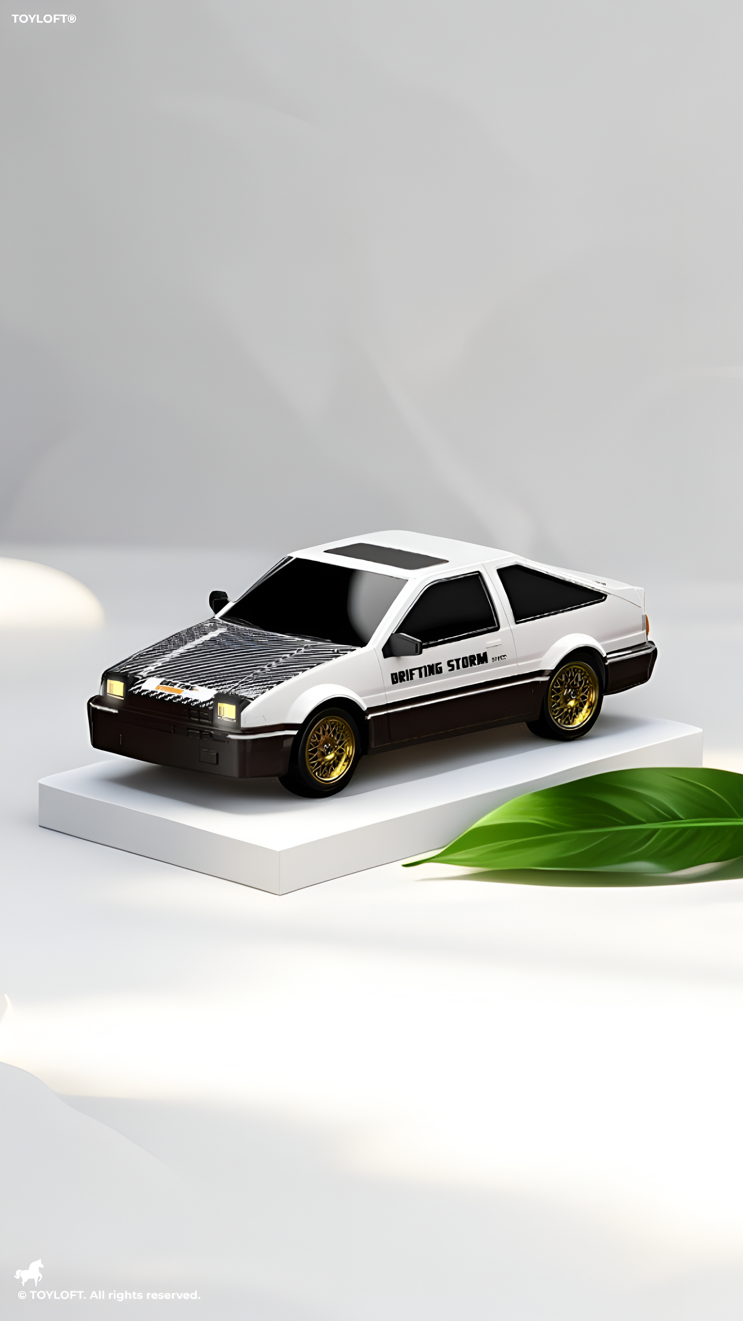 4WD RC Drift Car White 1:16 Scale High-Speed Remote Control Racing Car 30+km/h with LED Lights, 2 Rechargeable Batteries & Interchangeable Tires TV4908