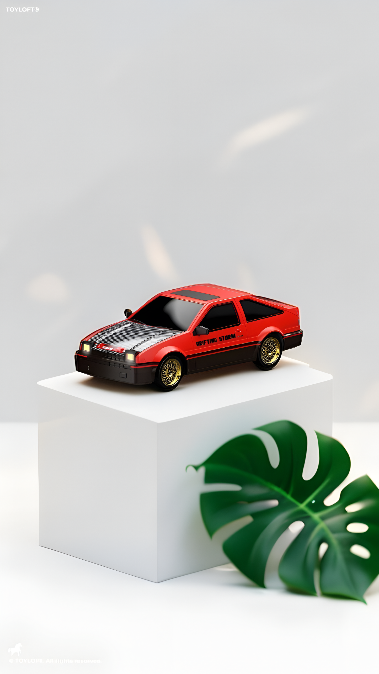 4WD RC Drift Car 1:16 Scale High-Speed Remote Control Racing Car 30+km/h with LED Lights, 2 Rechargeable Batteries & Interchangeable Tires TV4908