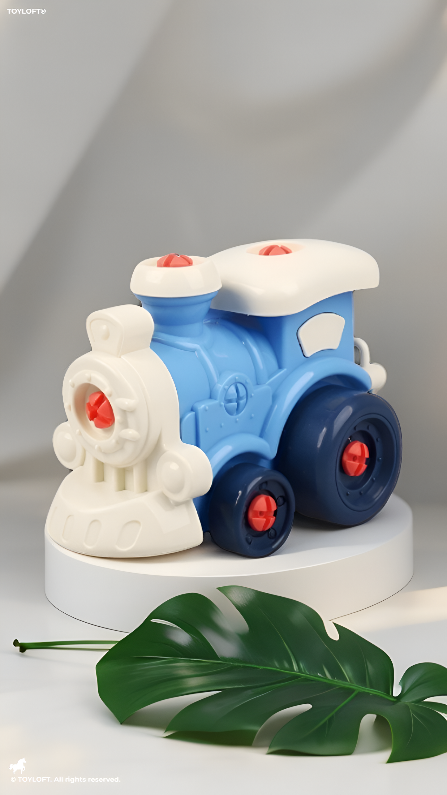 DIY Take Apart Toy Vehicles – Steam Train and Racing Car Construction Set LMI14865.