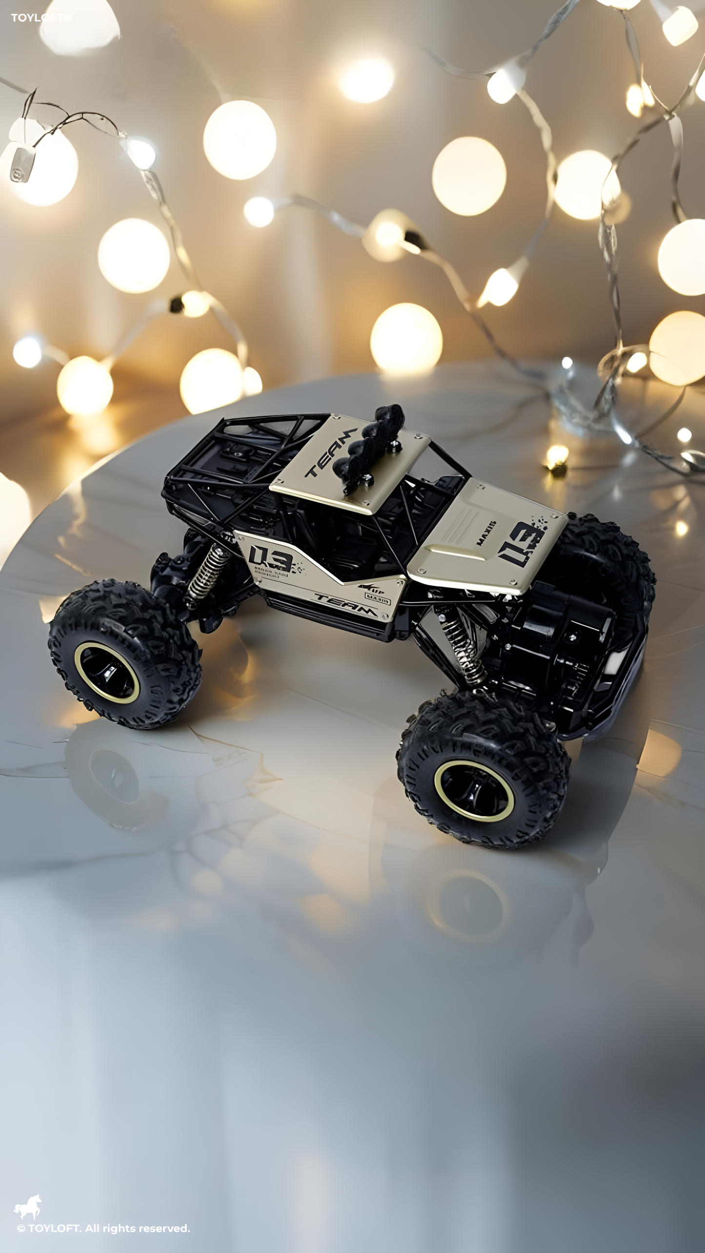 Rock Crawler Super Spray Remote Control Car TV1353