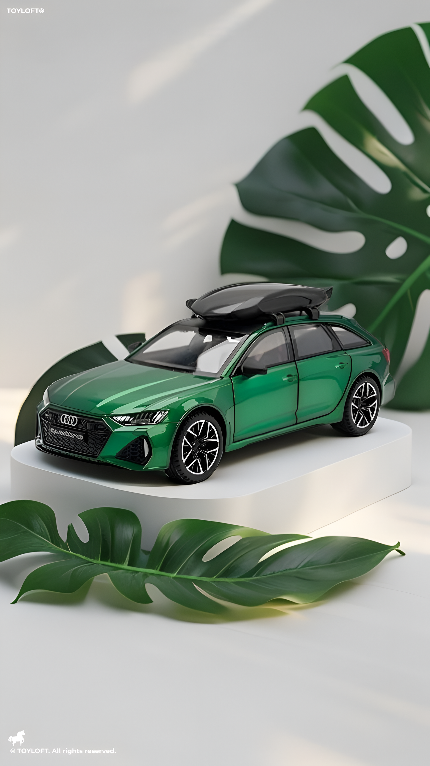 Audi RS6 Avant 1:24 Scale Diecast Model Car – Green Metal Collectible with Acrylic Display Box.