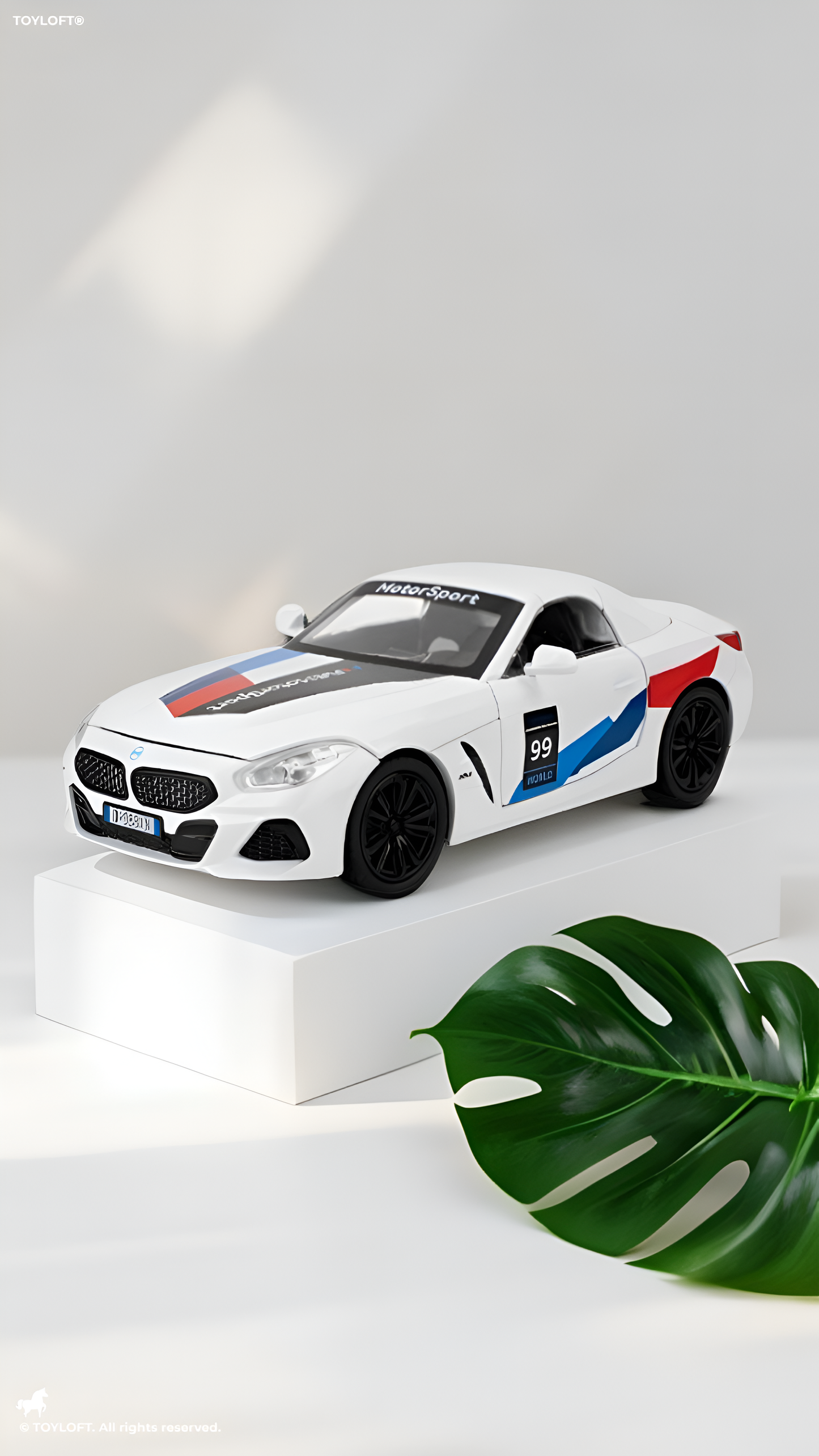BMW Z4 Motorsport Diecast Model Car 1:22 Scale – Detailed Collectible Racing Replica with Realistic TV6610.