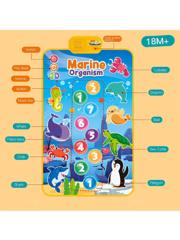 Interactive Musical Baby Toddler Mat | Marine Organism Ocean Theme Electronic Piano Dance Pad LMI15394